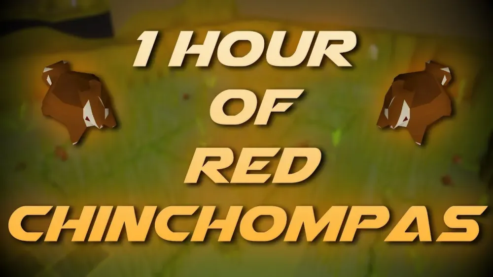 Hunting Red Chinchompas  Testing OSRS Wiki Money Making Methods  YouTube