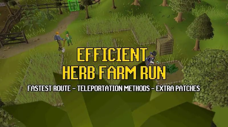 How to make money with Herb Runs in OSRS Efficent Run Guide  OSRS Guide