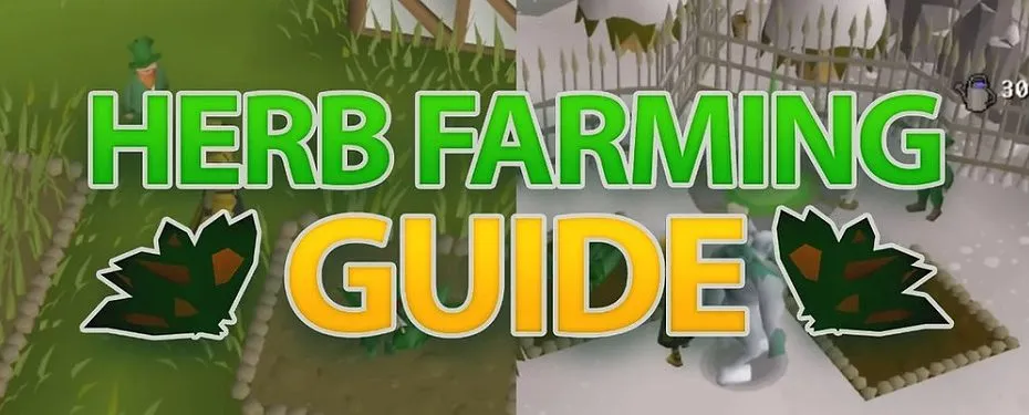 OSRS Herb Patches Locations Guide for Efficient Farming
