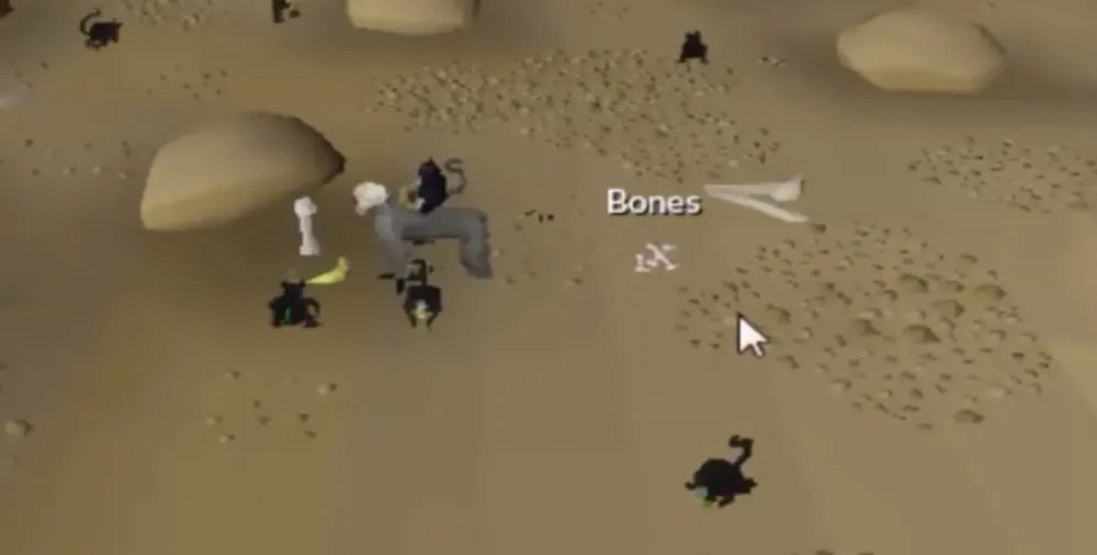 OSRS Top 20 Best AFK Skilling Methods  NovaMMO
