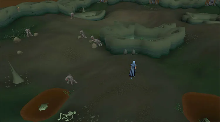 OSRS Dagannoth Waterbirth Island Guide