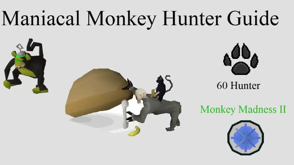 OSRS  Maniacal Monkey Hunter Guide  Best AFK Hunter Method  100k XP 
