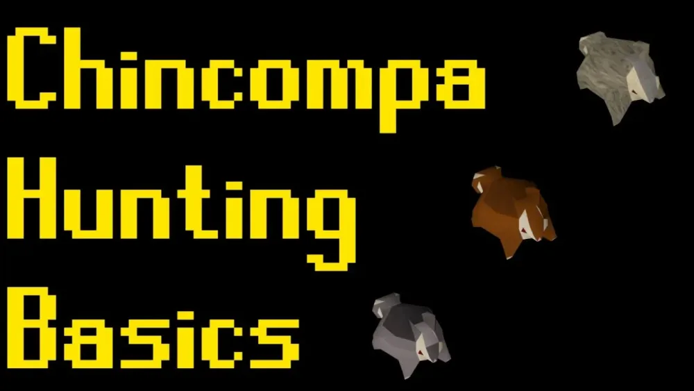 Basic Chinchompa Hunting Guide 2019 OSRS  YouTube