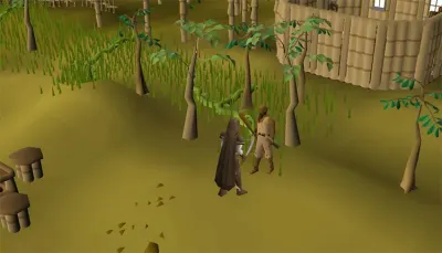 OSRS Trading Sticks Guide for Efficient Collection