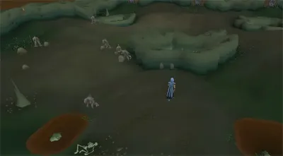 OSRS Dagannoth Waterbirth Island Guide