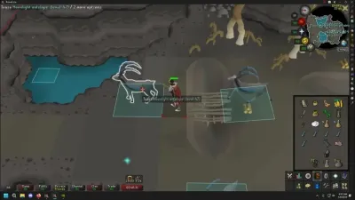 Sunlight Antelope Fur in OSRS A Comprehensive Guide