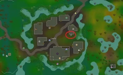 OSRS Agility Training 1-99 The Ultimate Guide