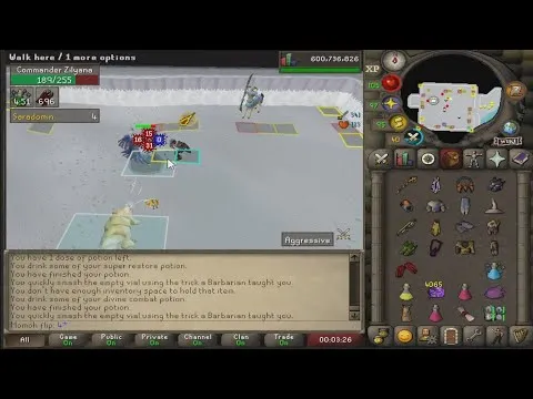 OSRS Commander Zilyana Duo Guide for Efficient Kills
