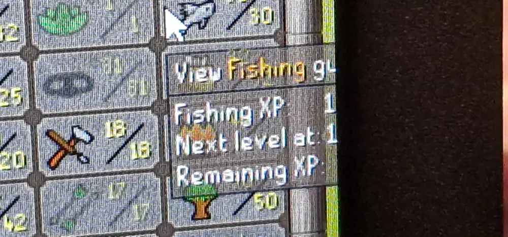 does anyone know how i can stop this happening plying in the osrs 