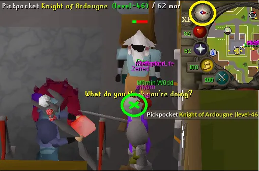 OSRS Ardougne Knight World Guide for Thieving Success