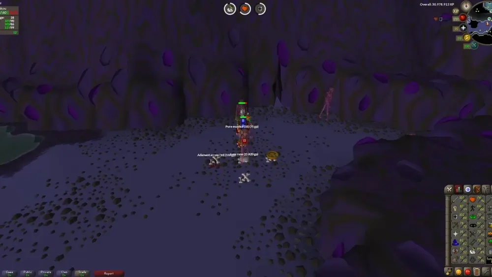 Best Place to Kill Ankou in OSRS