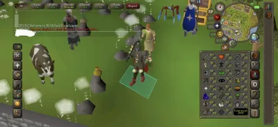 NMZ OSRS AFK Guide for Effortless Combat Training