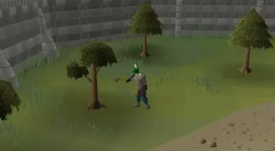 OSRS Woodcutting XP Rates Guide for 2025