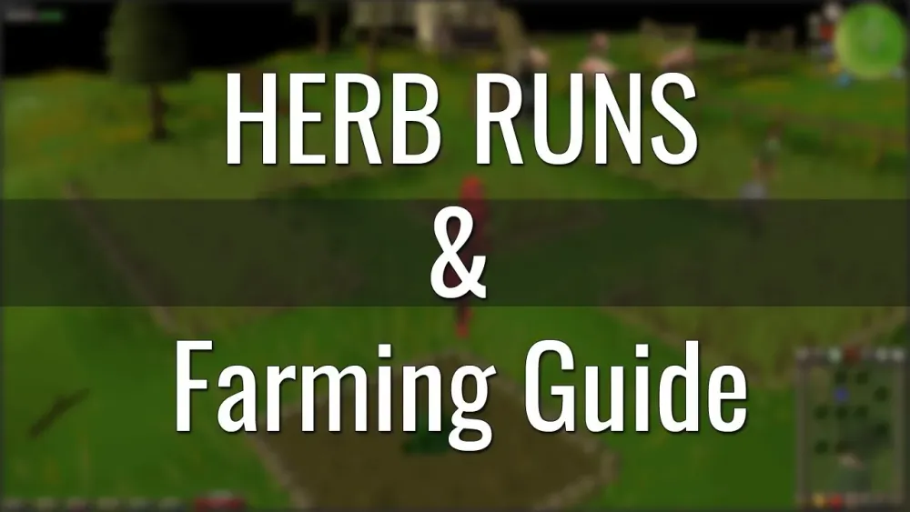 OSRS Herb Runs  Farming Guide Great money at any level  YouTube