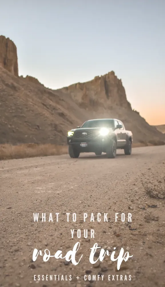 The Ultimate Guide to Comfortable LongHaul Road Trips What to Pack 