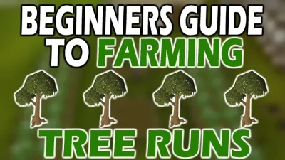 OSRS Dead Tree Farming Guide for Efficient Training