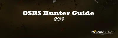 Hunting 1-99 OSRS Ultimate Guide for Fast Levels