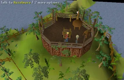 OSRS Eye of the Storm Guide for Beginners and Pros