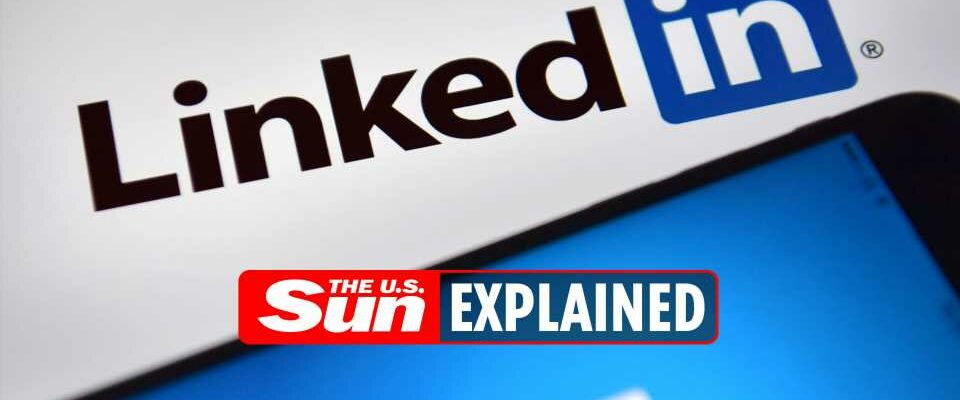 Is LinkedIn down Issues outages and errors explained  The Sun 