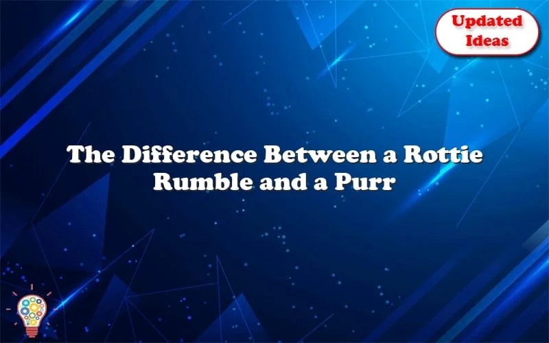 Exploring the Meaning Behind Rottie Rumble