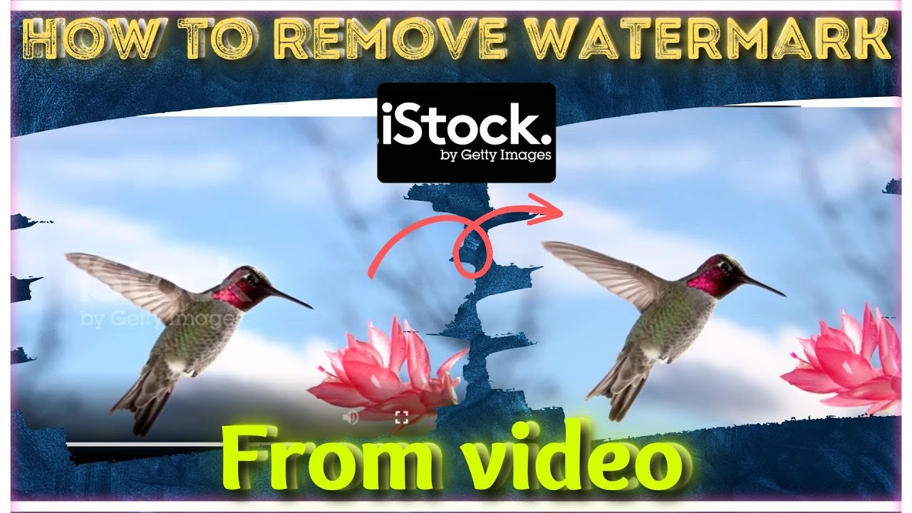 Are iStock Video Previews Equal in Quality to Purchased Videos