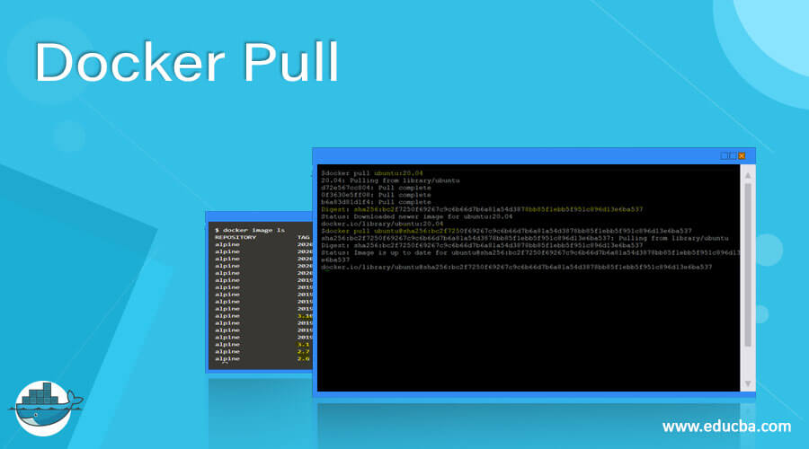 Docker Pull  How Pull Command works in Docker with Examples