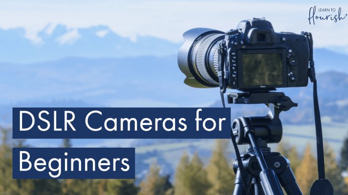 How to Use a DSLR Camera for Beginners with Dailymotion Video Tutorials and Tips