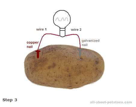  How long can a potato power a clock How Long Can A Potato Power A 