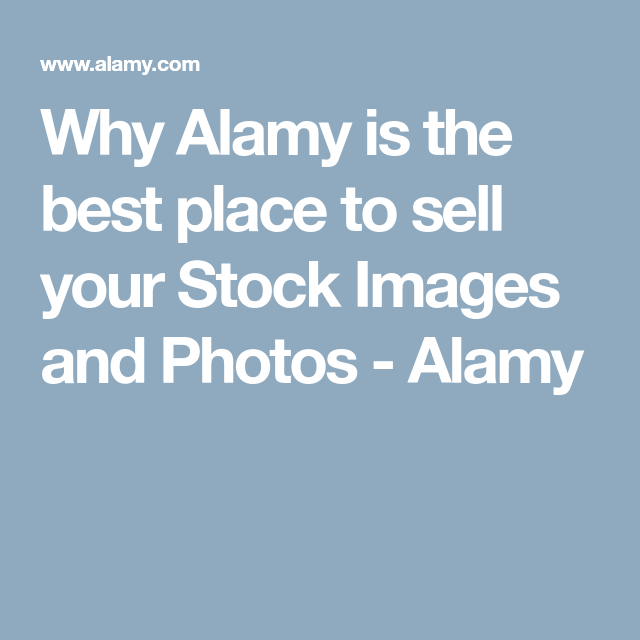 How to Sell Photos Taken on Android Using Alamy as a Contributor