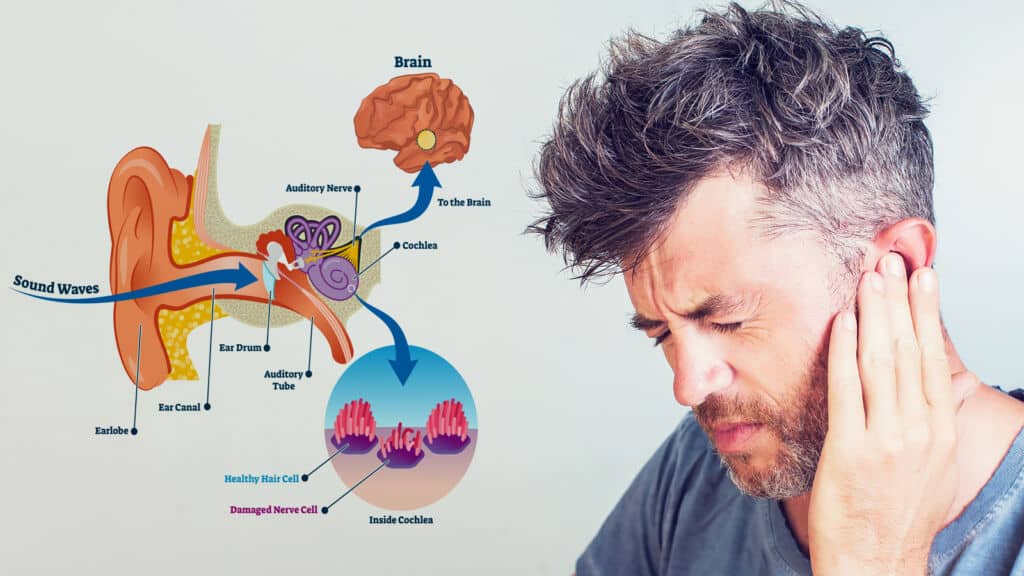 Understanding the Prevalence of Ear Rumbling and Its Causes