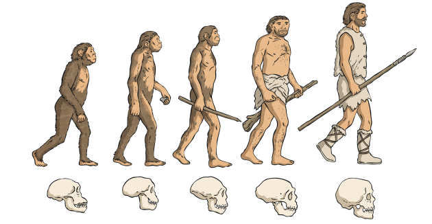 Timeline of Human Evolution  History  Science Wiki