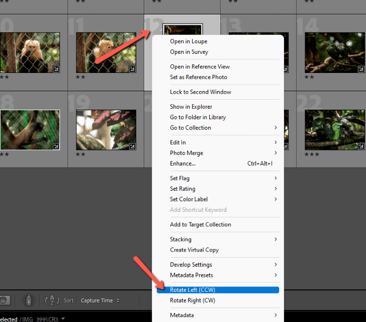 3 Quick Ways to Rotate an Image in Adobe Lightroom