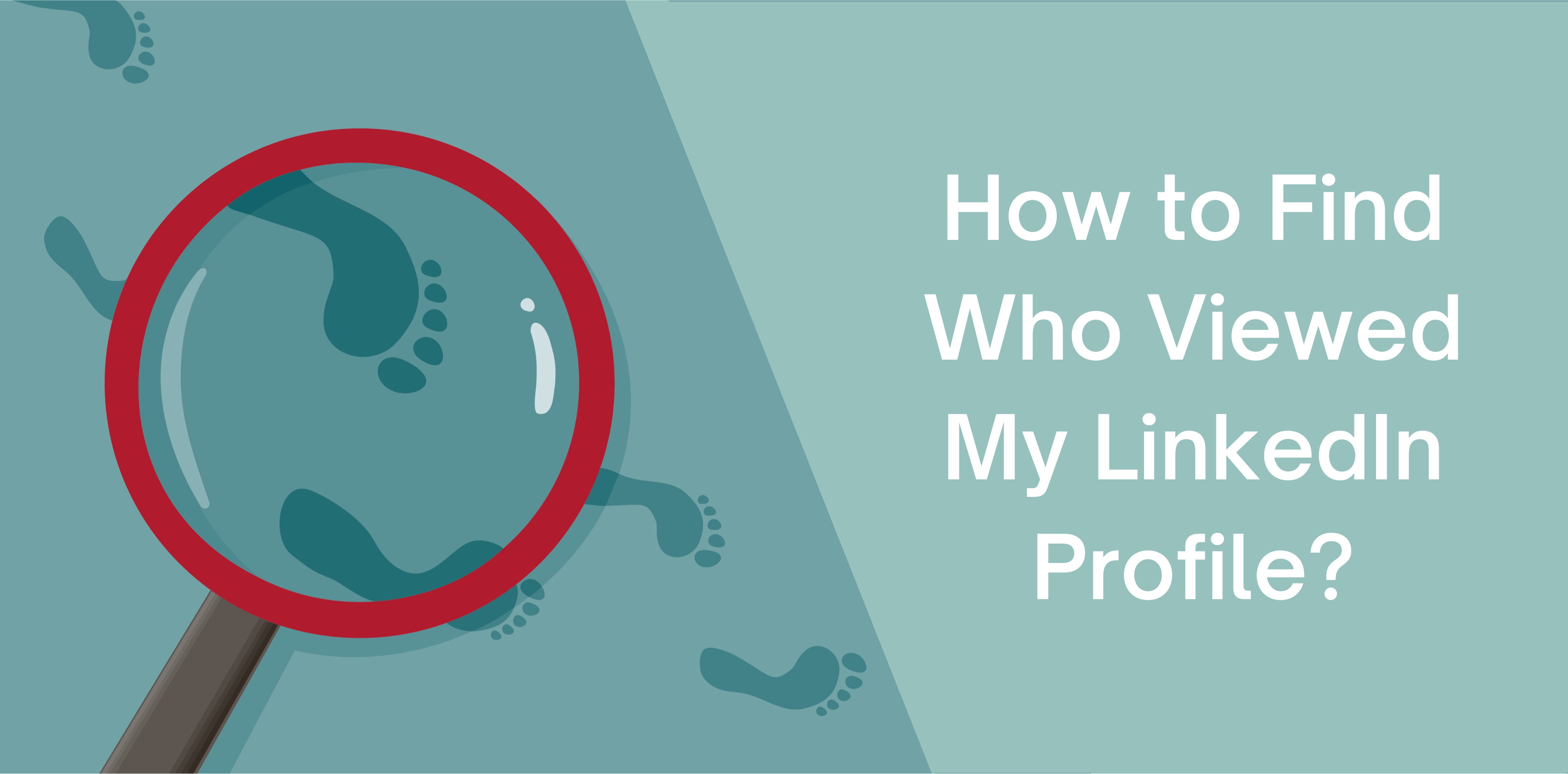 How to Discover Who Viewed Your LinkedIn Profile