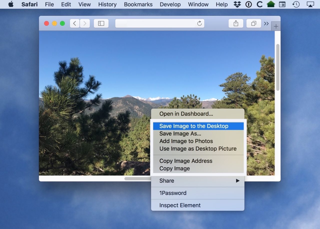 How to Copy and Save Images from Safari on the Mac