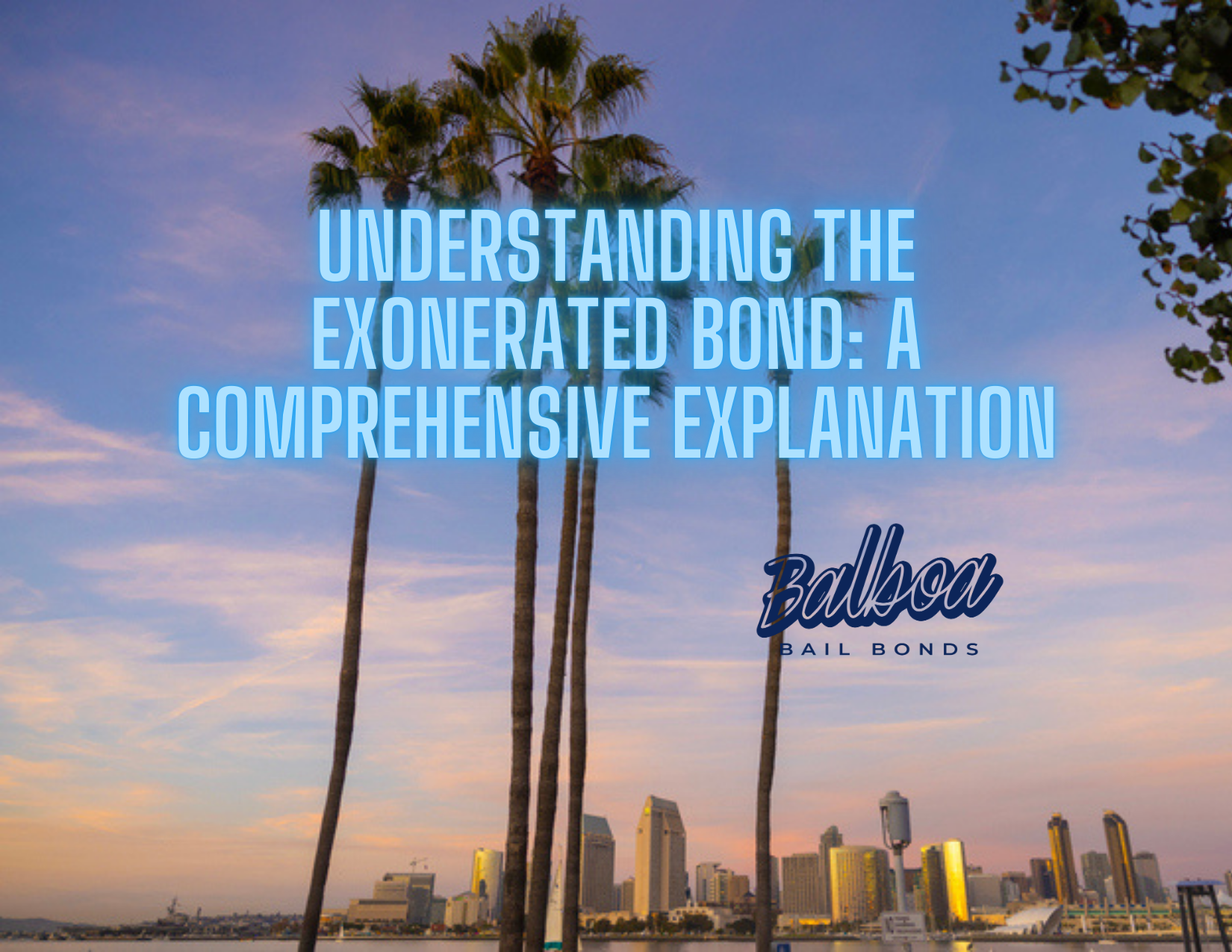 Understanding the Exonerated Bond A Comprehensive Explanation  San 