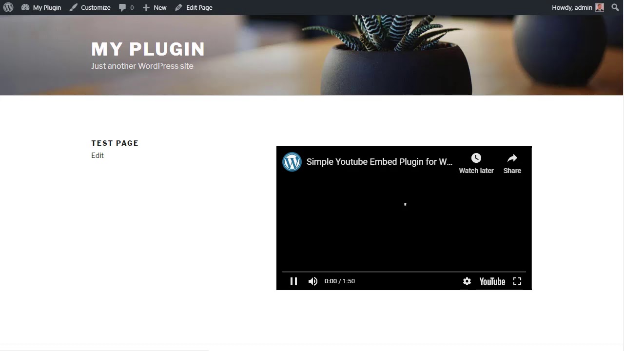 Simple YouTube Embed Plugin Setup  YouTube Video Embed in WordPress 