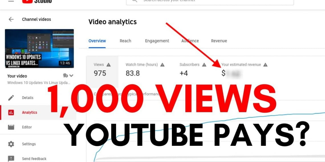 Cunto cuesta YouTube Paga por 1000 vistas  ZERU