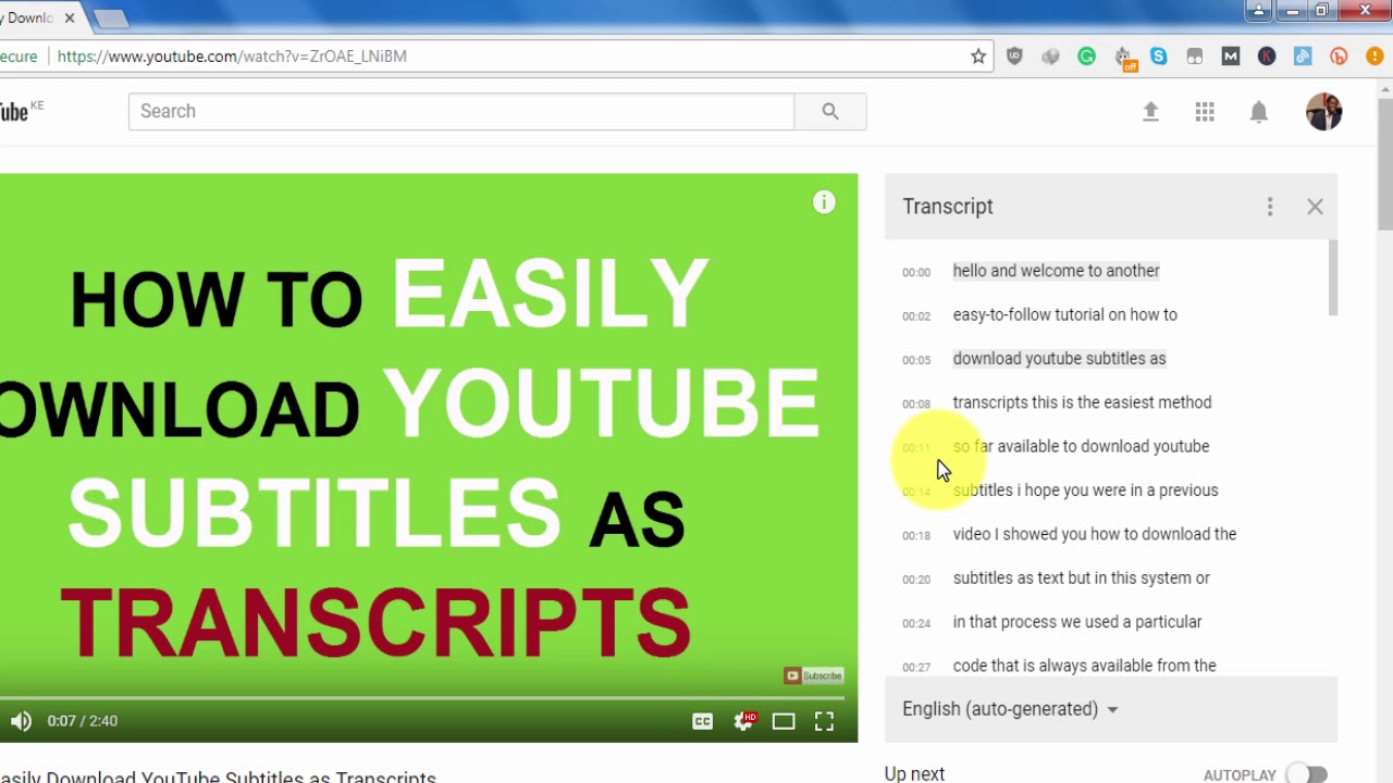 Download youtube subtitles extractor  jastime