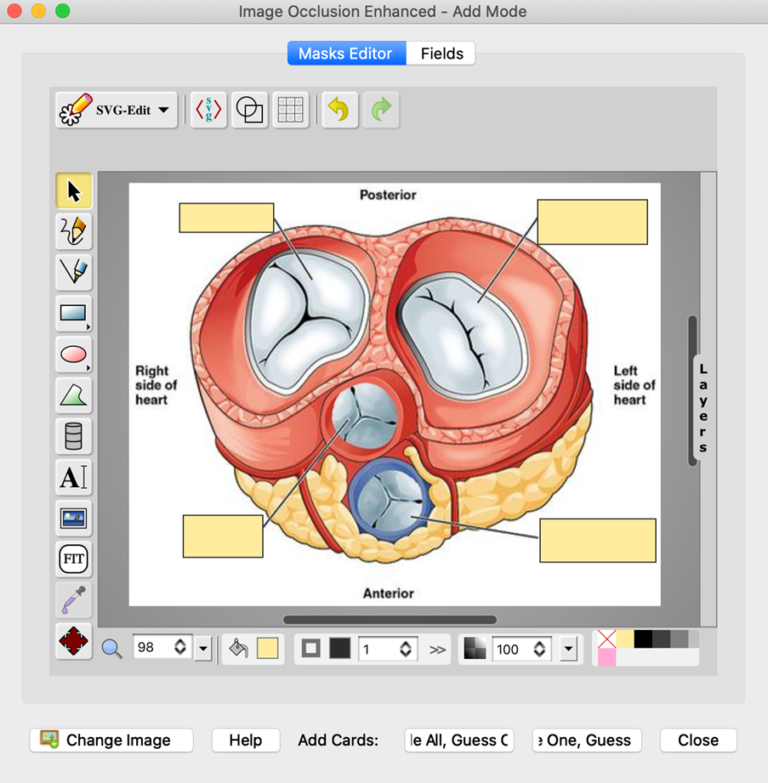 The 12 Best Anki AddOns for Medical School  Scrubs Journey