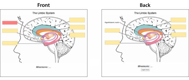 Enhance Memory Retention with Image Occlusion in Anki