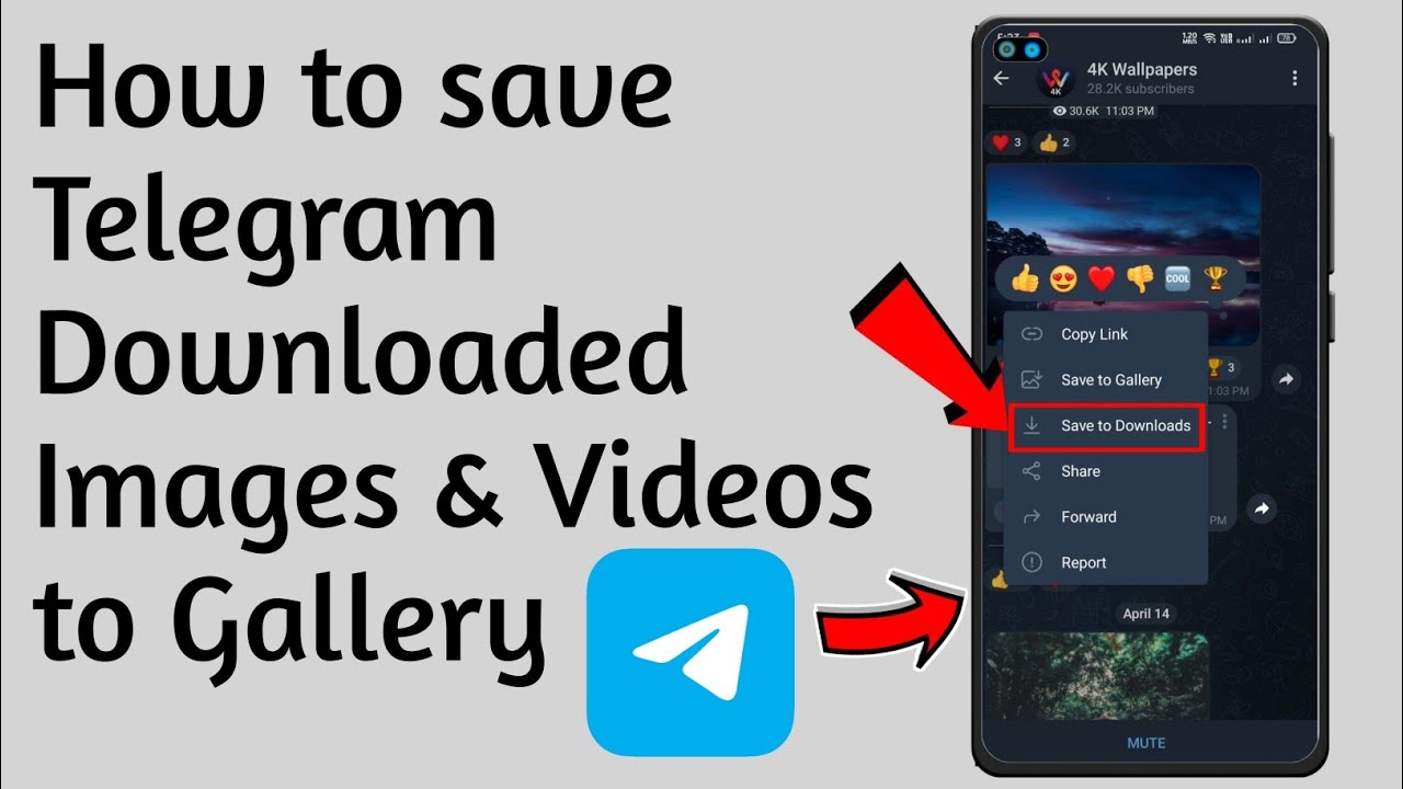 How to save telegram downloaded images  videos to gallery easy  YouTube