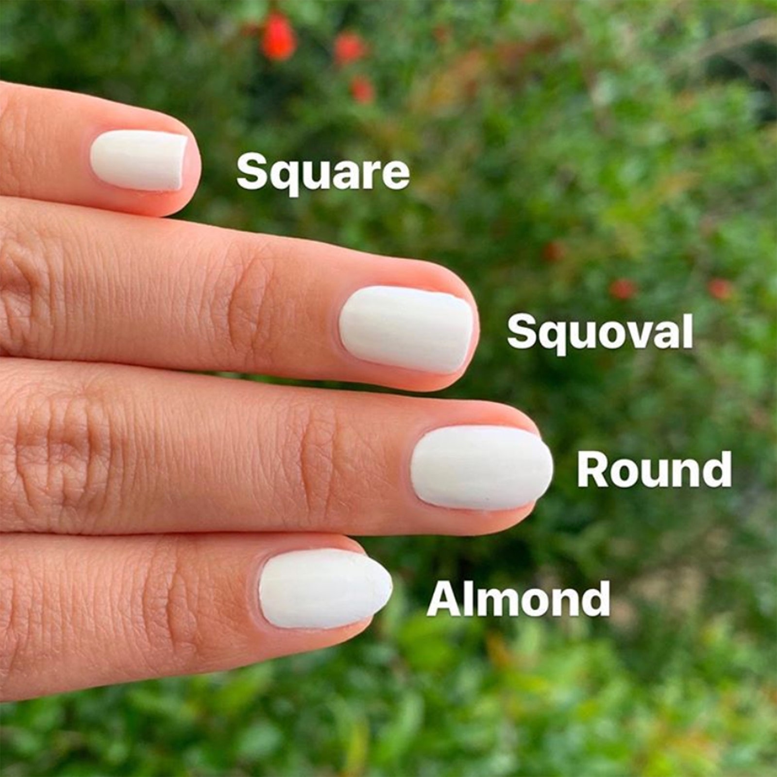 Mastering the Art of Shaping Oval Nails with Easy Techniques