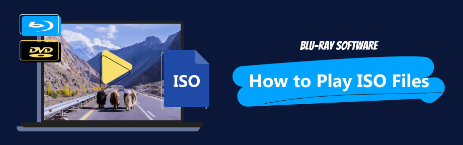 Playing DVD and Bluray ISO Files on Computer 5 Solutions