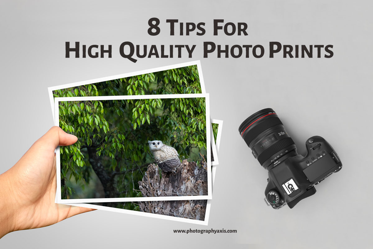 Expert Tips for Achieving High-Quality Alamy Photo Prints