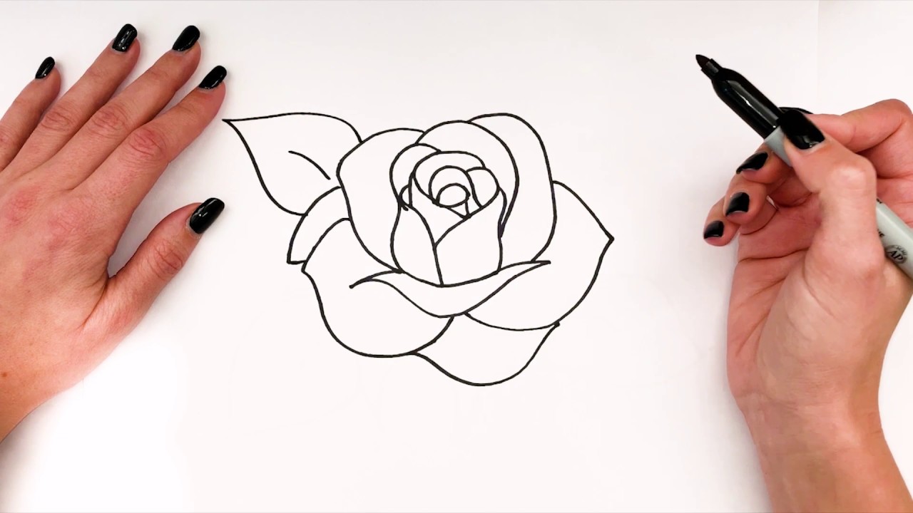 Simple Ways to Draw Roses Step by Step with Dailymotion Tutorials