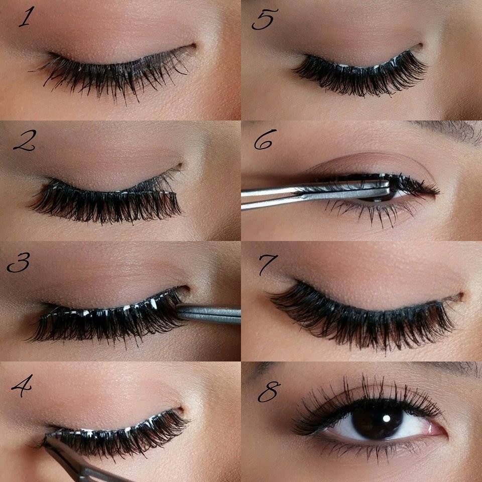 Perfect results eyelash application  Lashes fake eyelashes Fake 