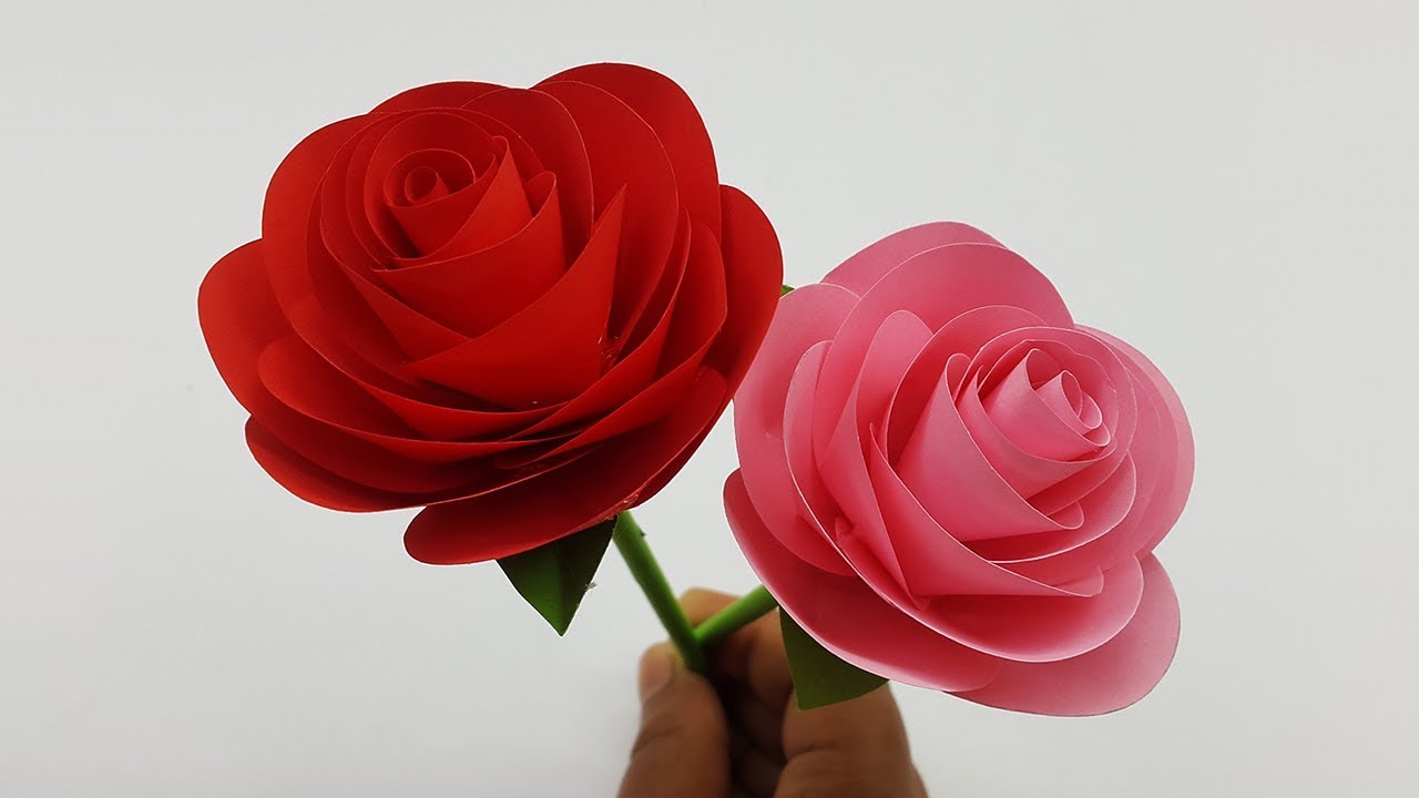 How to Make Roses on Paper  Diy Paper Flowers  How to Make Paper Rose 