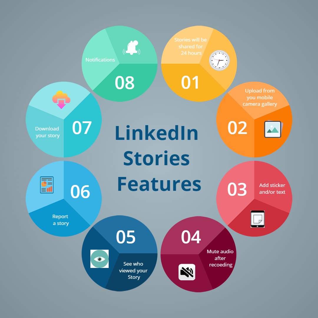 LinkedIn Stories and New Platform Features Overview