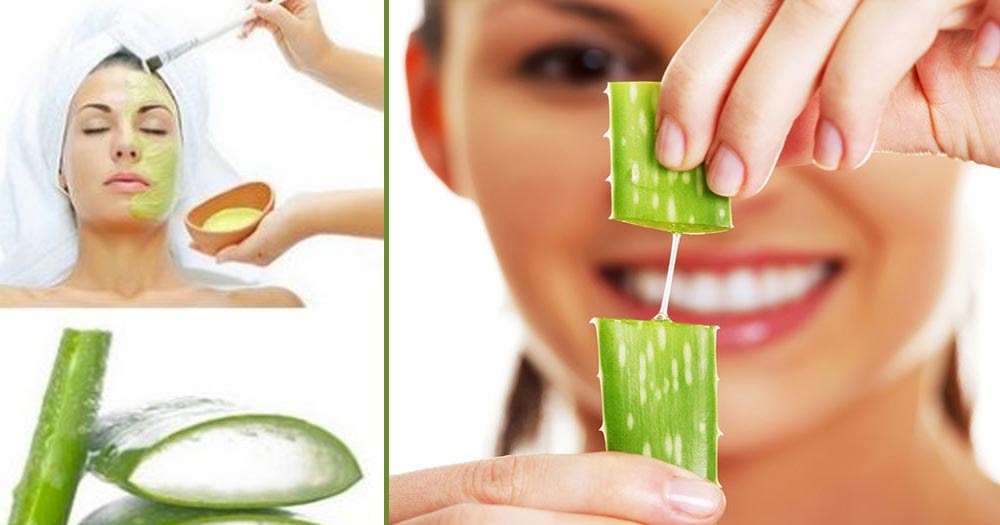 How Can Aloe Vera Help Skin  The Beauty Secrets