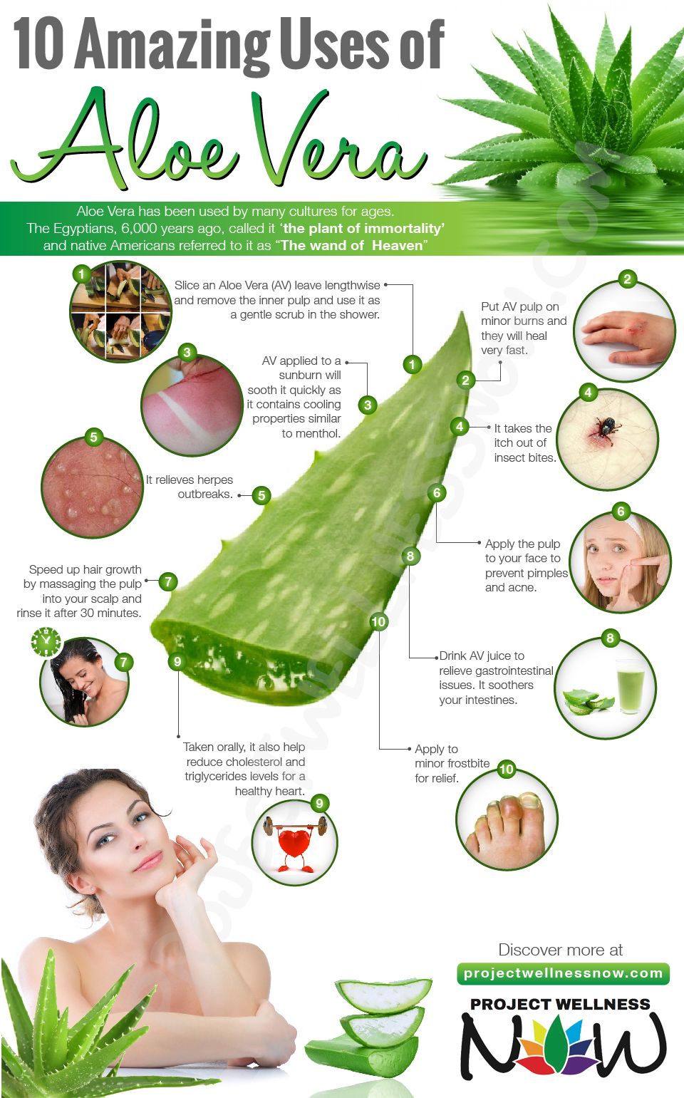 How to Apply Aloe Vera on Skin for Healthy Skin